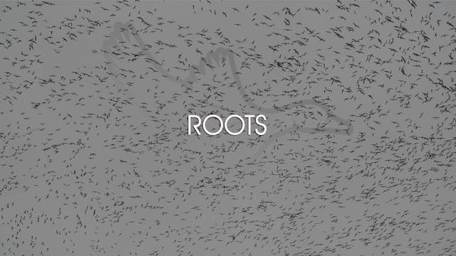 Heartland Waterfowl 3.8 - "Roots"