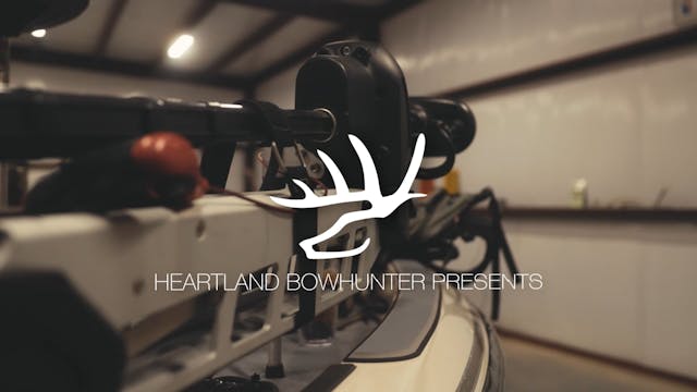 HW12.6 | NEW YEAR CRANES AND QUAIL