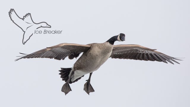 HEARTLAND WATERFOWL | 5.10 | "Ice Breaker"