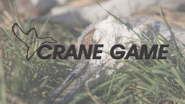 HW7.8 CRANE GAME