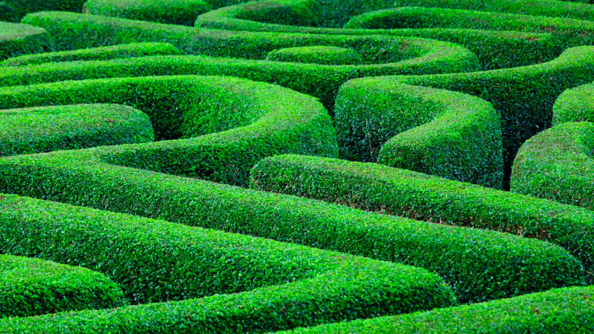 No Way Through Meditation