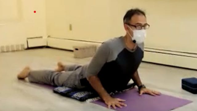 Grounding Backbends and Hip Opening: Slow Flow with Andrew