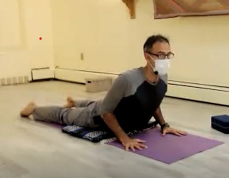 Grounding Backbends and Hip Opening: ...