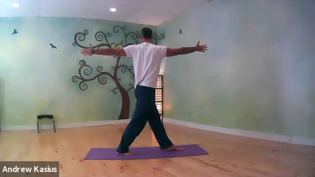 Vinyasa Flow with Andrew: Twists and Backbends