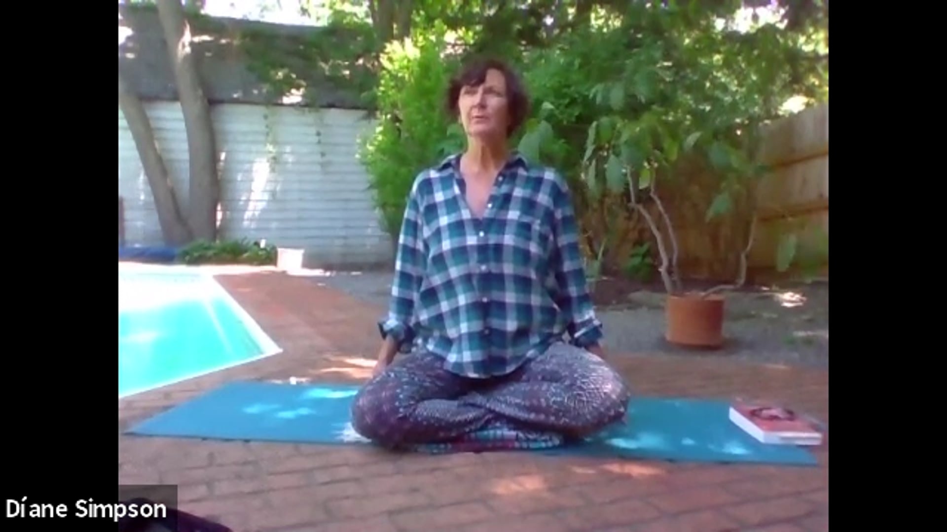 Chakra Yoga with Diane Simpson, June 8, 2020, Manipura -Solar Plexus Chakra