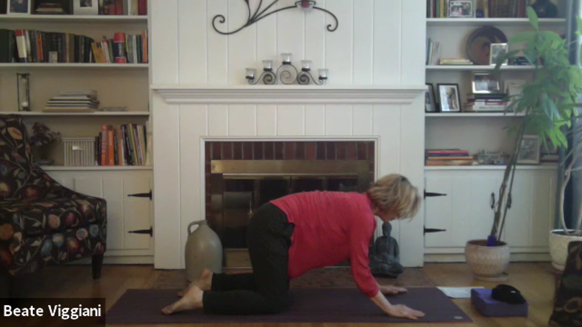 Hatha Yoga with Beate, April 12, 2020