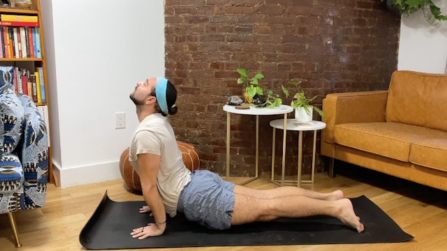 Light Movement Flow - 15 min - Andrew P.