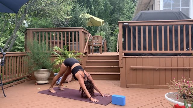 Twisty Flow - 30 min - Mitra S.