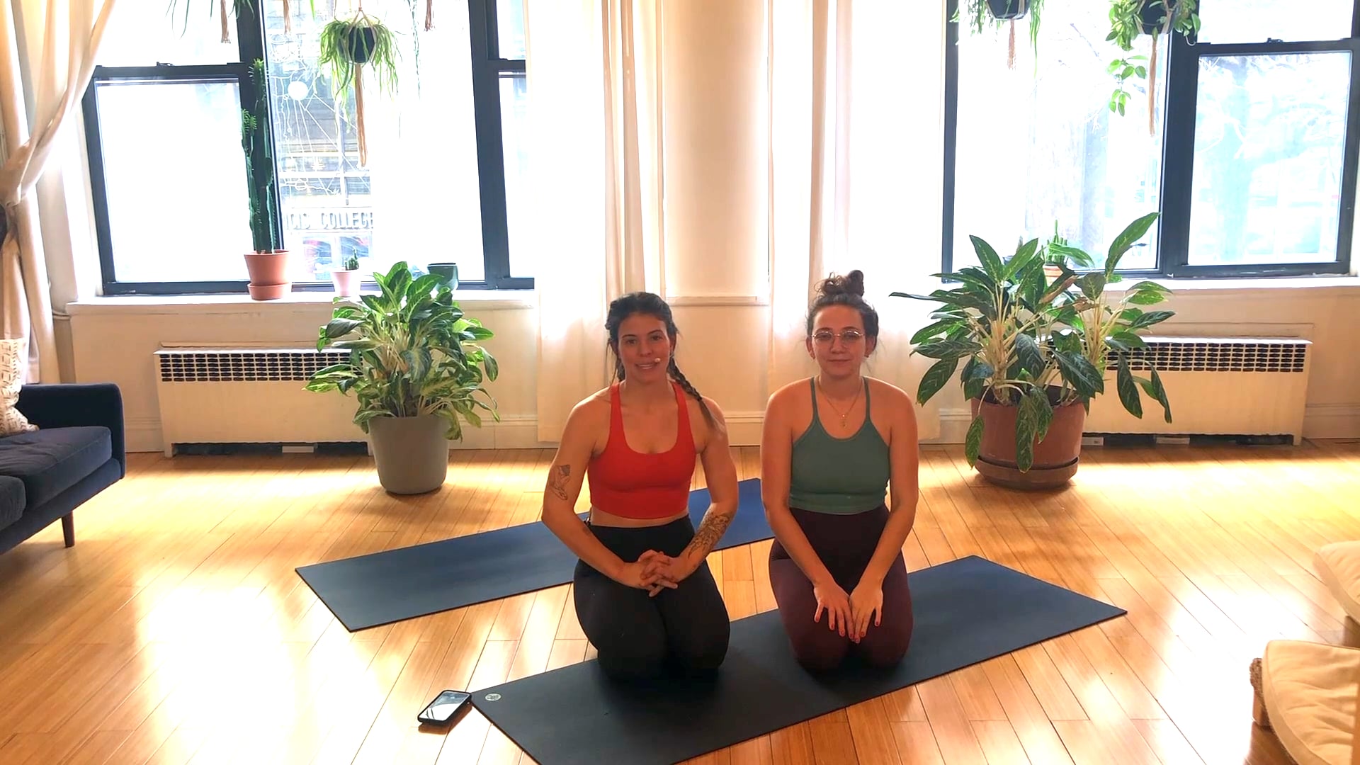 Partner Yoga - 45 min - Liz M.