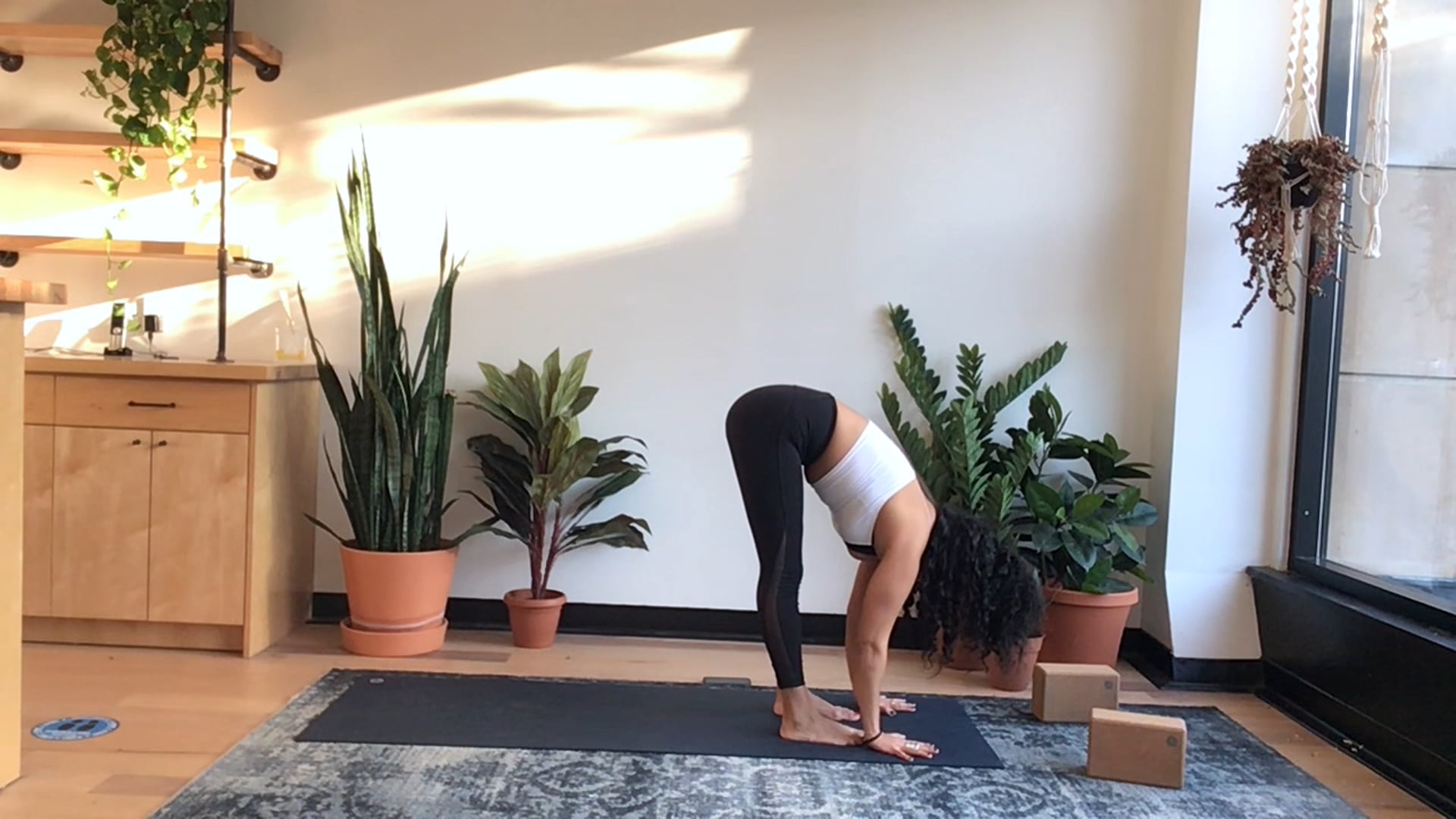 Heart Openers - 45 min - Mitra S.