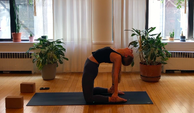 Back Bending & Heart Opening Flow - 35 min - Erin Lyons 
