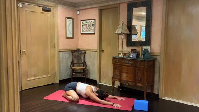 Hip Flow - 45 min - Mitra S.