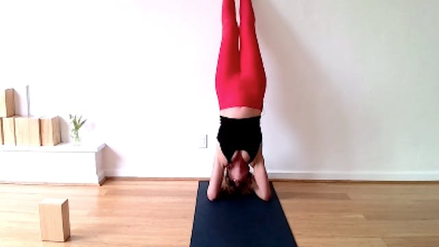 Flow to Forearm Stand - 60 min - Gret...