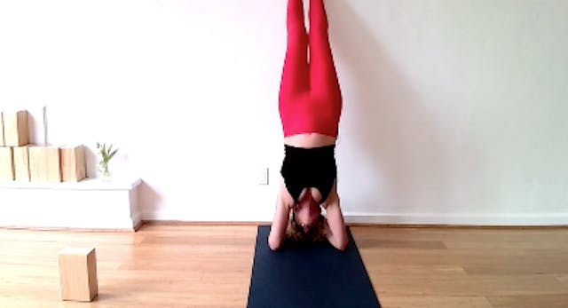 Flow to Forearm Stand - 60 min - Gret...