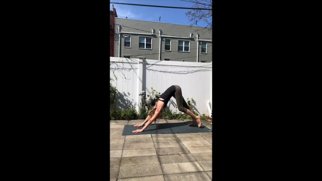 Sun Salutations - 15 min - Zoe MK.