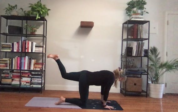 Sizzle & Sculpt - 15 min - Erin L.