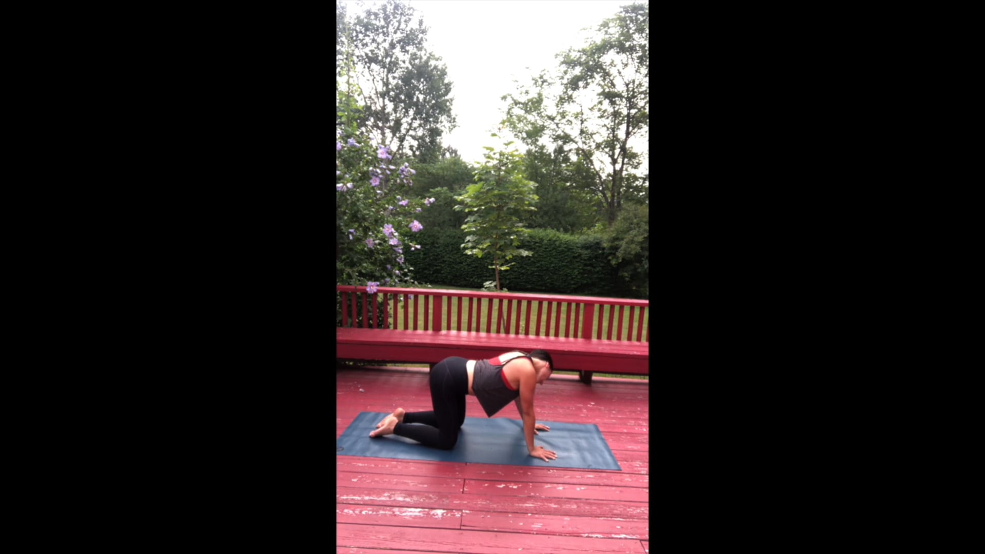 Prenatal/Postnatal Pilates - 30 min - Hannah M.