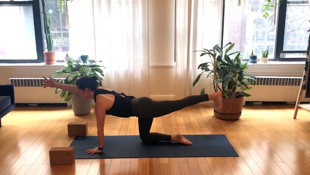 Dynamic Flow - 30 min - Arianna N.