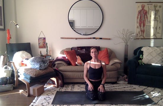 Peacock Flow - 45 min - Emily F.