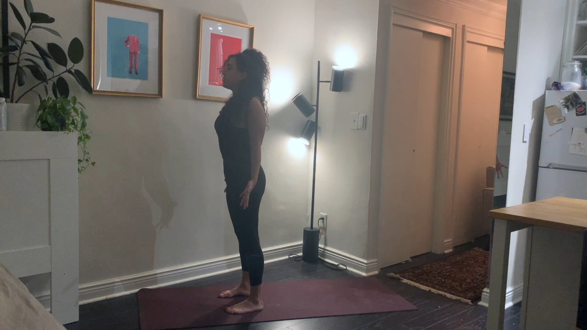 The Big Reboot: Day 1 - Sun Salutations - 20 min - Mitra S. 