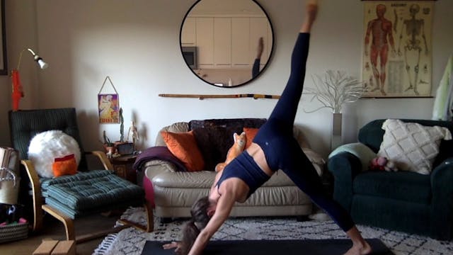 Bird of Paradise Flow - 45 min. Emily F.