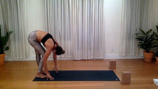 The Big Reboot: Day 4 - Lower Body Power Flow - 40 min - Cathy H.