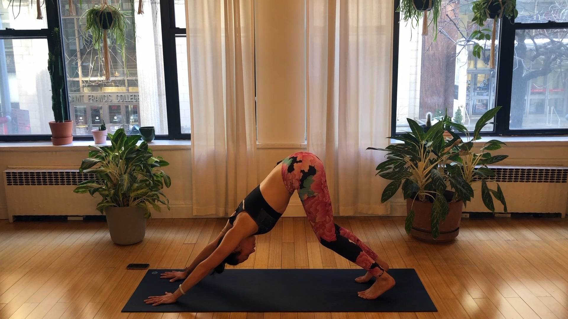 Build Up to Bird of Paradise - 45 min - Jade Z.