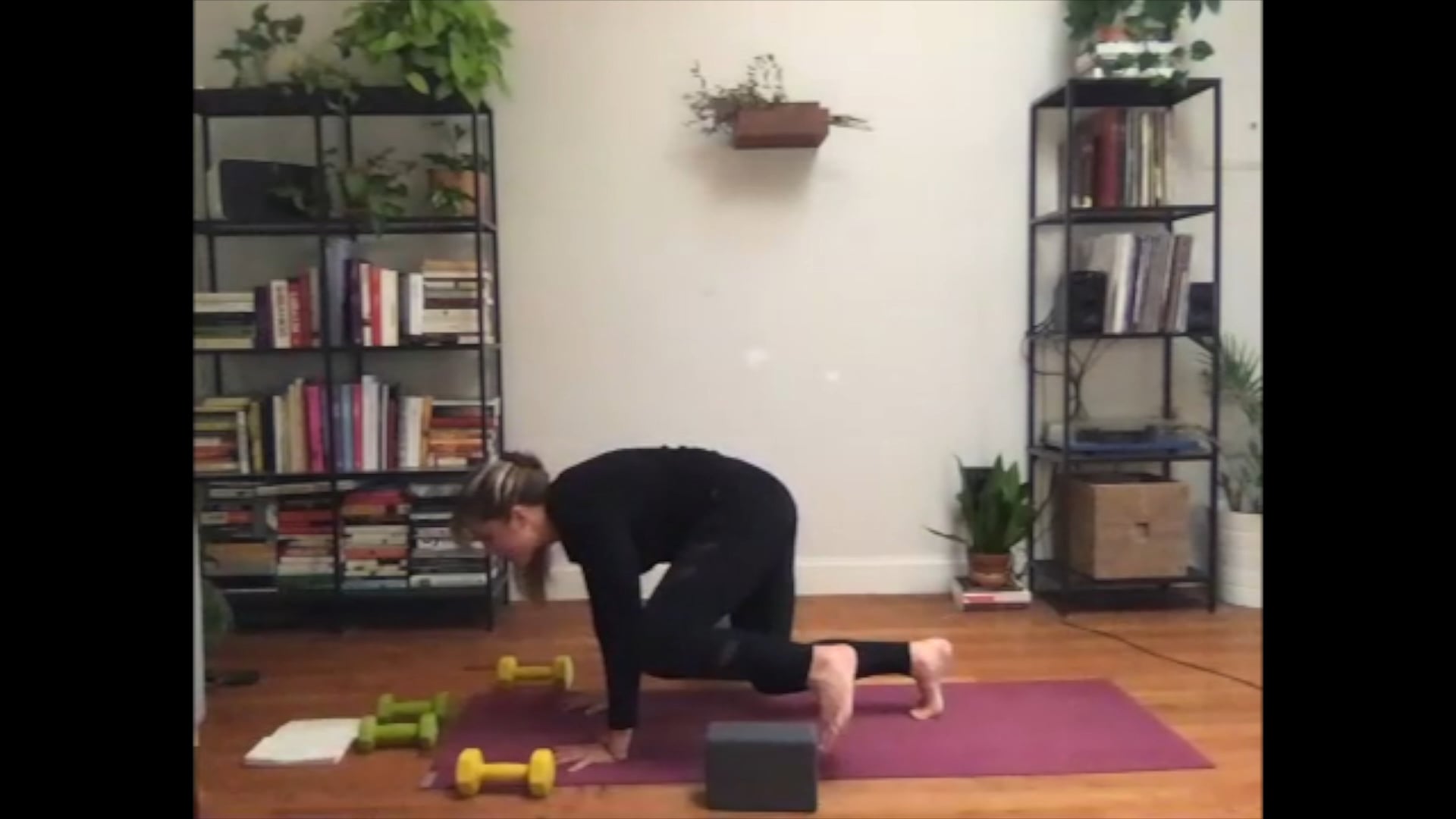 Sizzle & Sculpt: Biceps & Triceps - 60 min - Erin L.