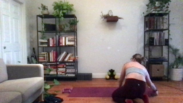 Flash Fried: Abs & Arms - 20 min - Erin L.