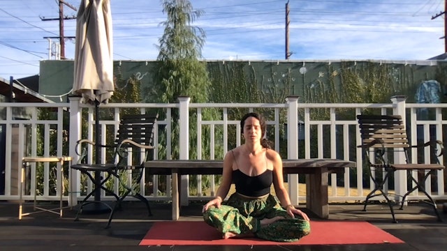Yoga for the Nervous System - 20 min - Lara S.