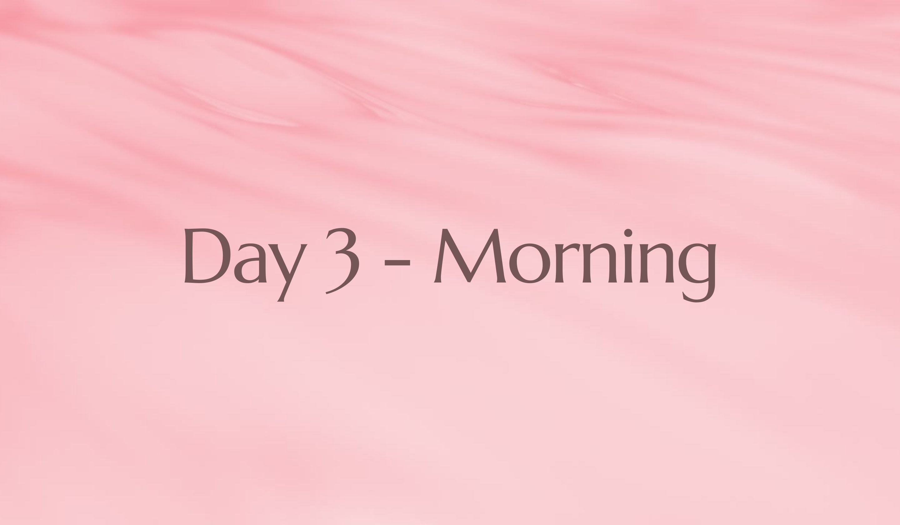 Day 3 - MORNING
