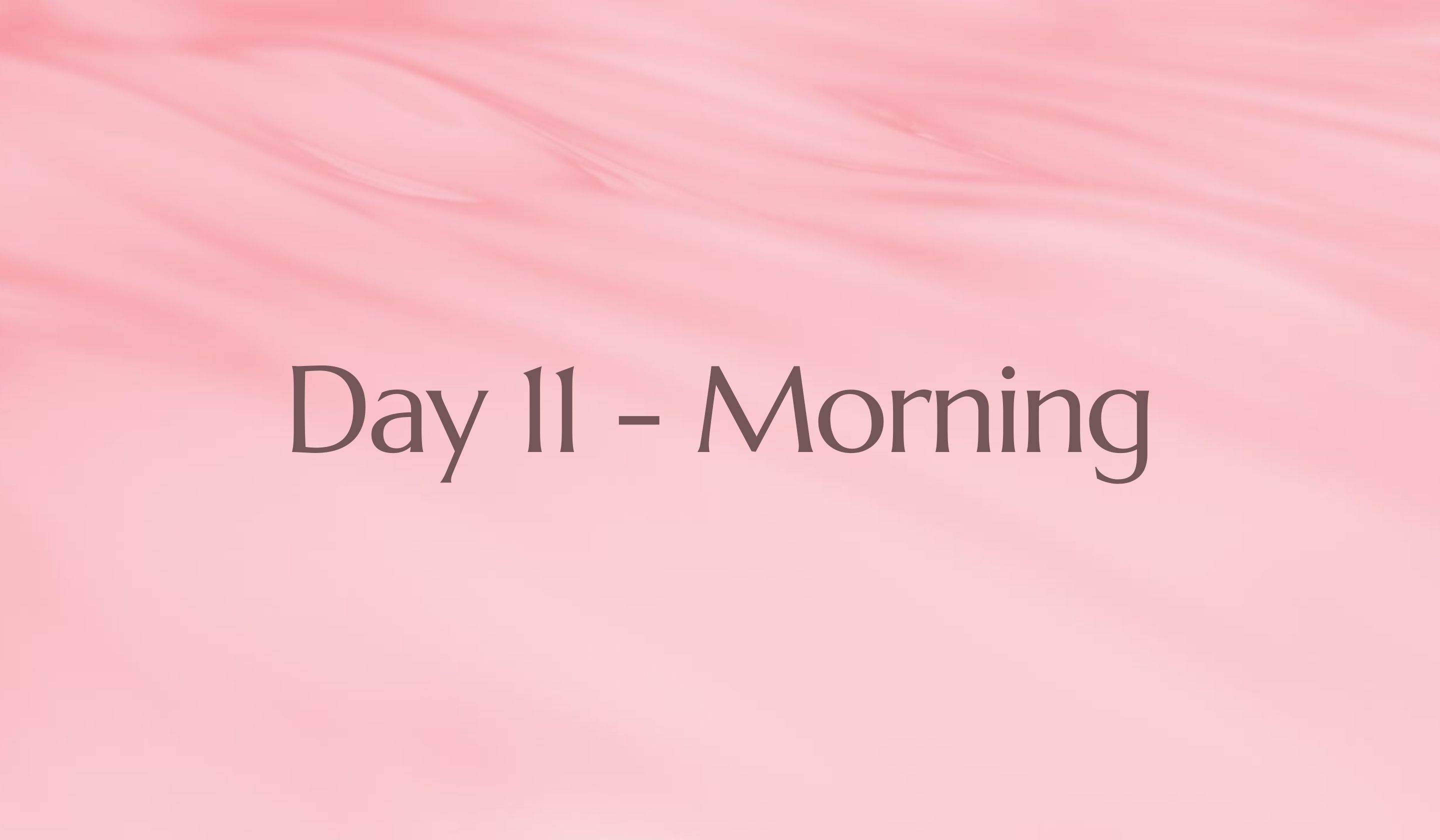 Day 11 - Rest day - MORNING