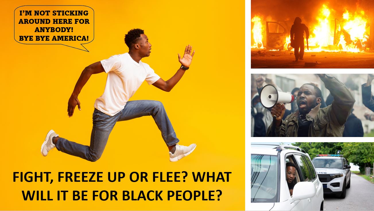 TOP 10 REASONS WHY BLACK PEOPLE WILL PERISH IN FUTURE AMERICA (PART 1) 