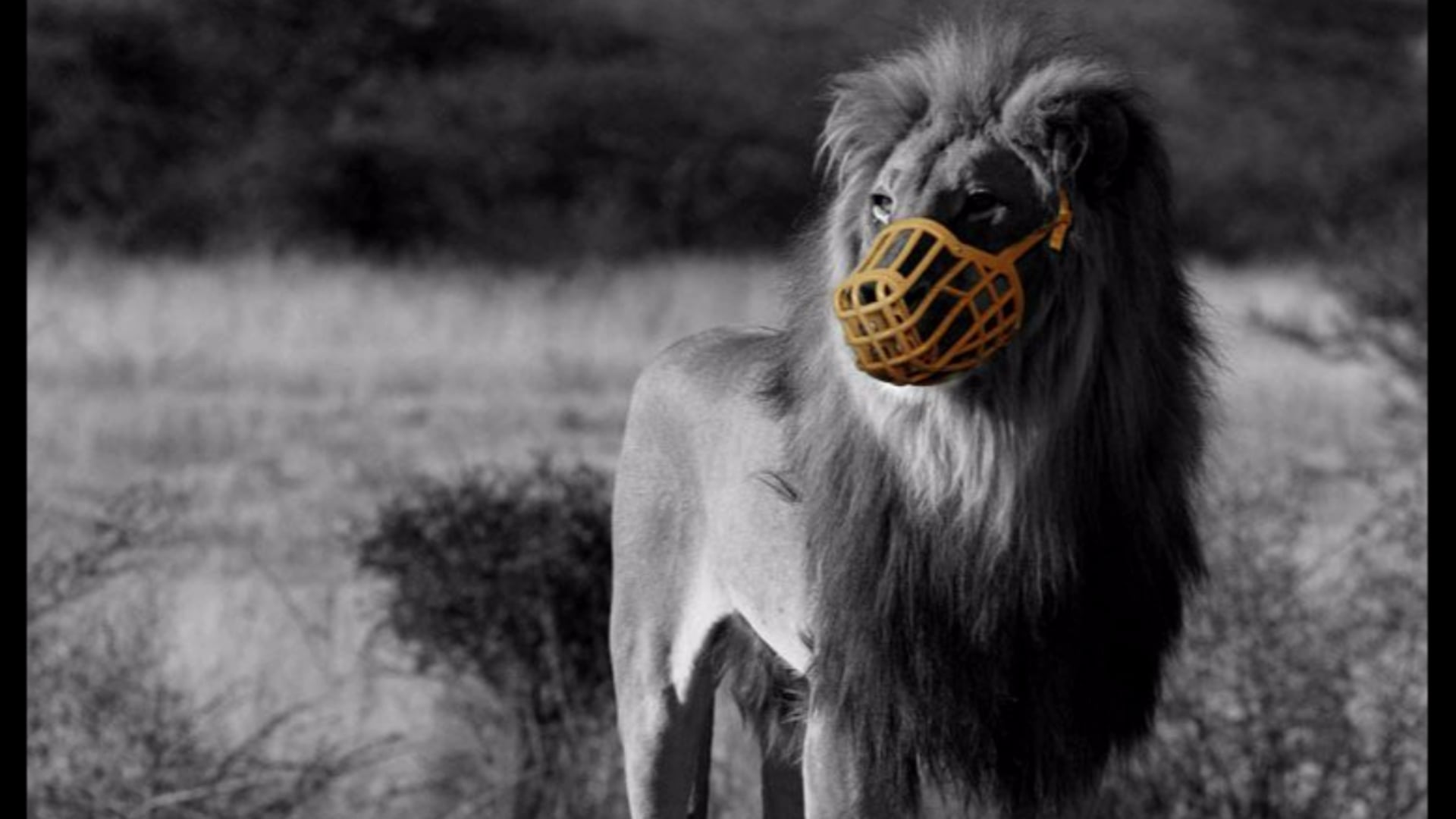 REBEL by by Gadi La'Muud