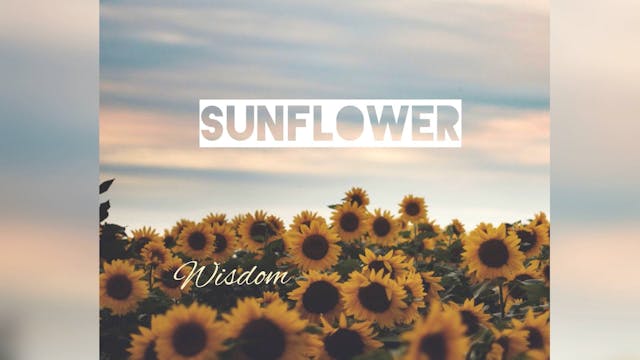 SUNFLOWER by Wisdom