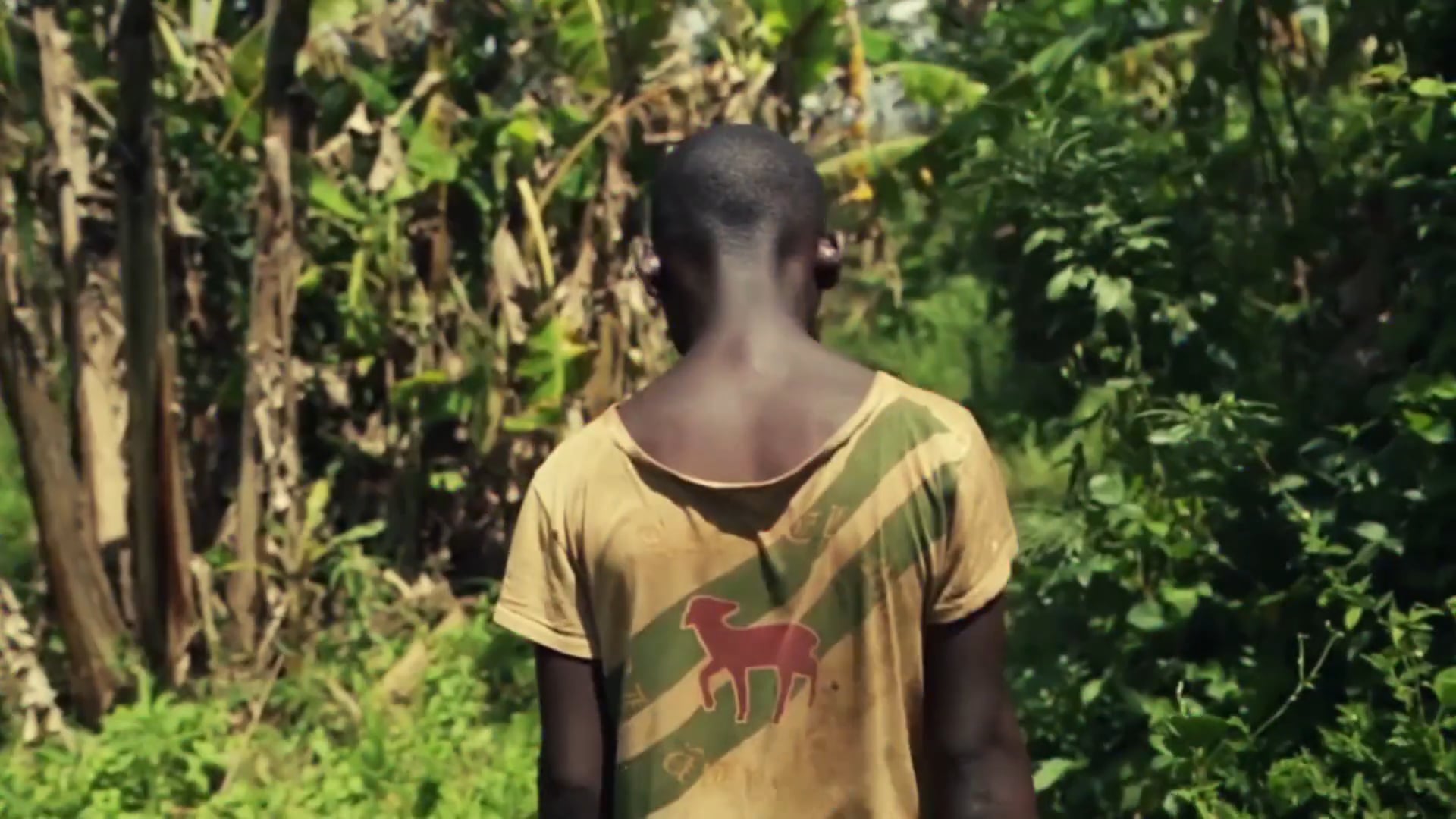 HEBREWS TO NEGROES: WAKE UP BLACK AMERICA MOVIE TRAILER (2019)