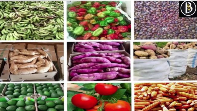 SPIRIT OF UGANDA - DIASPORANS COME HOME!