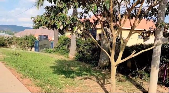 Taking A Walk  Through  The  Neighbor...