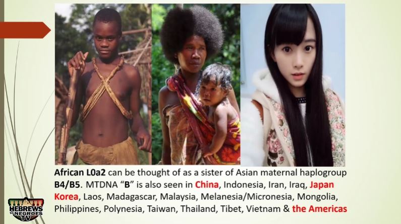 WHO ARE THE CANAANITES TODAY? - PART 3 (RON DALTON)