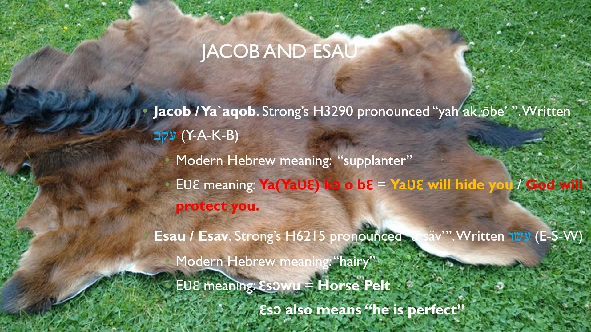 HEBREW IVRI EWE EVE THE BLACK MAN 3