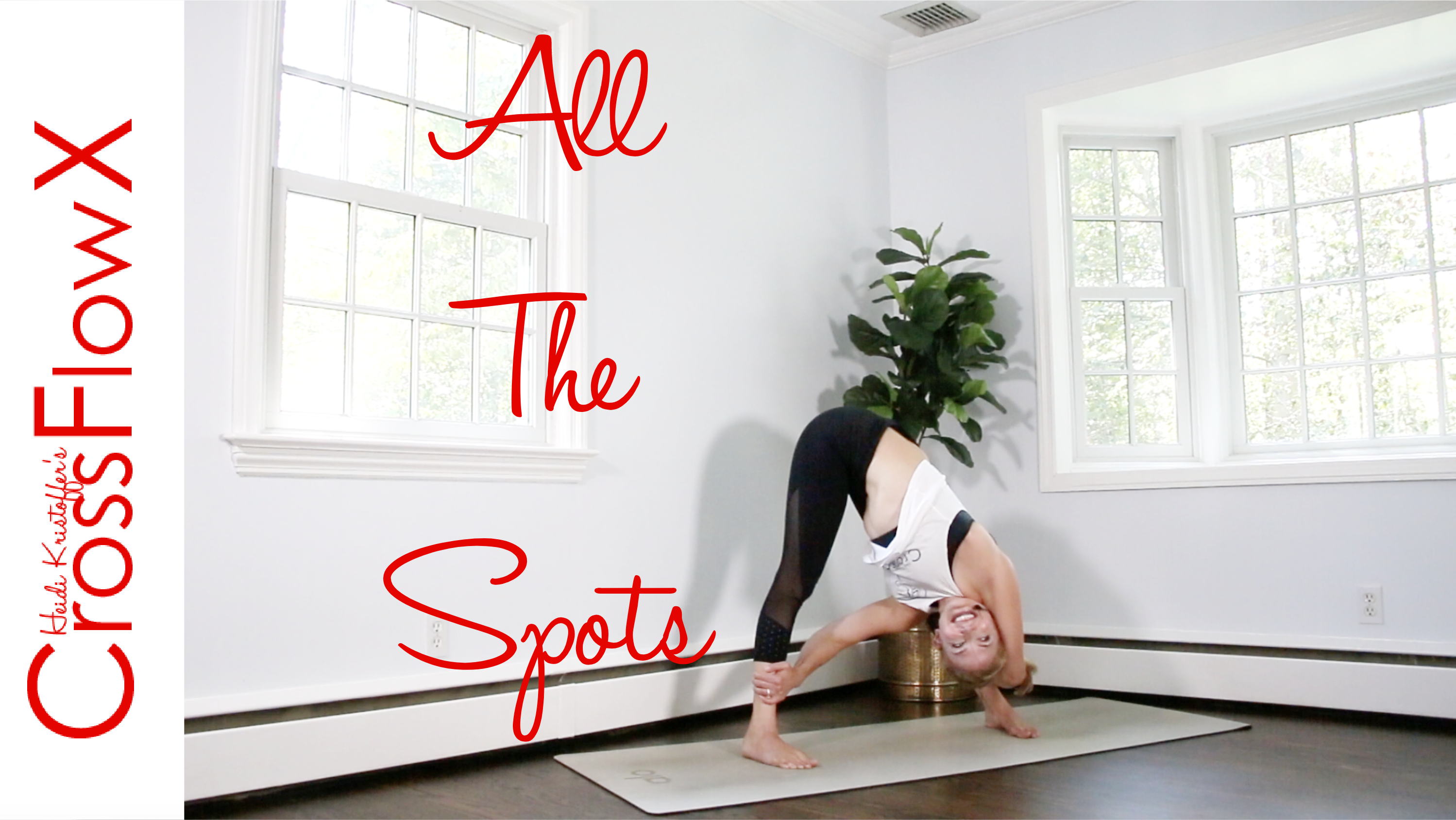 CrossFlowX™: All The Spots (Full Length)