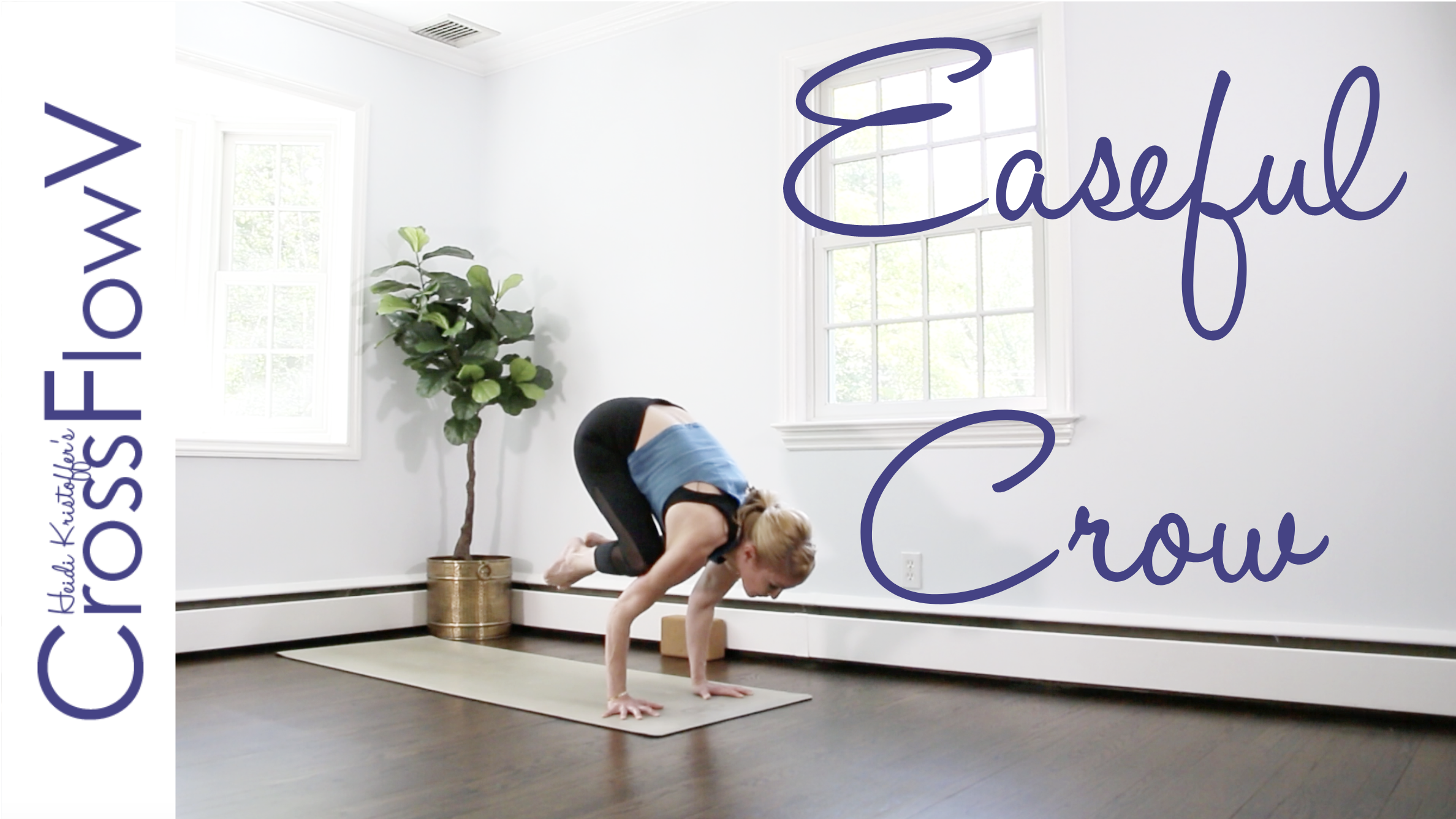 CrossFlowV: Easeful Crow