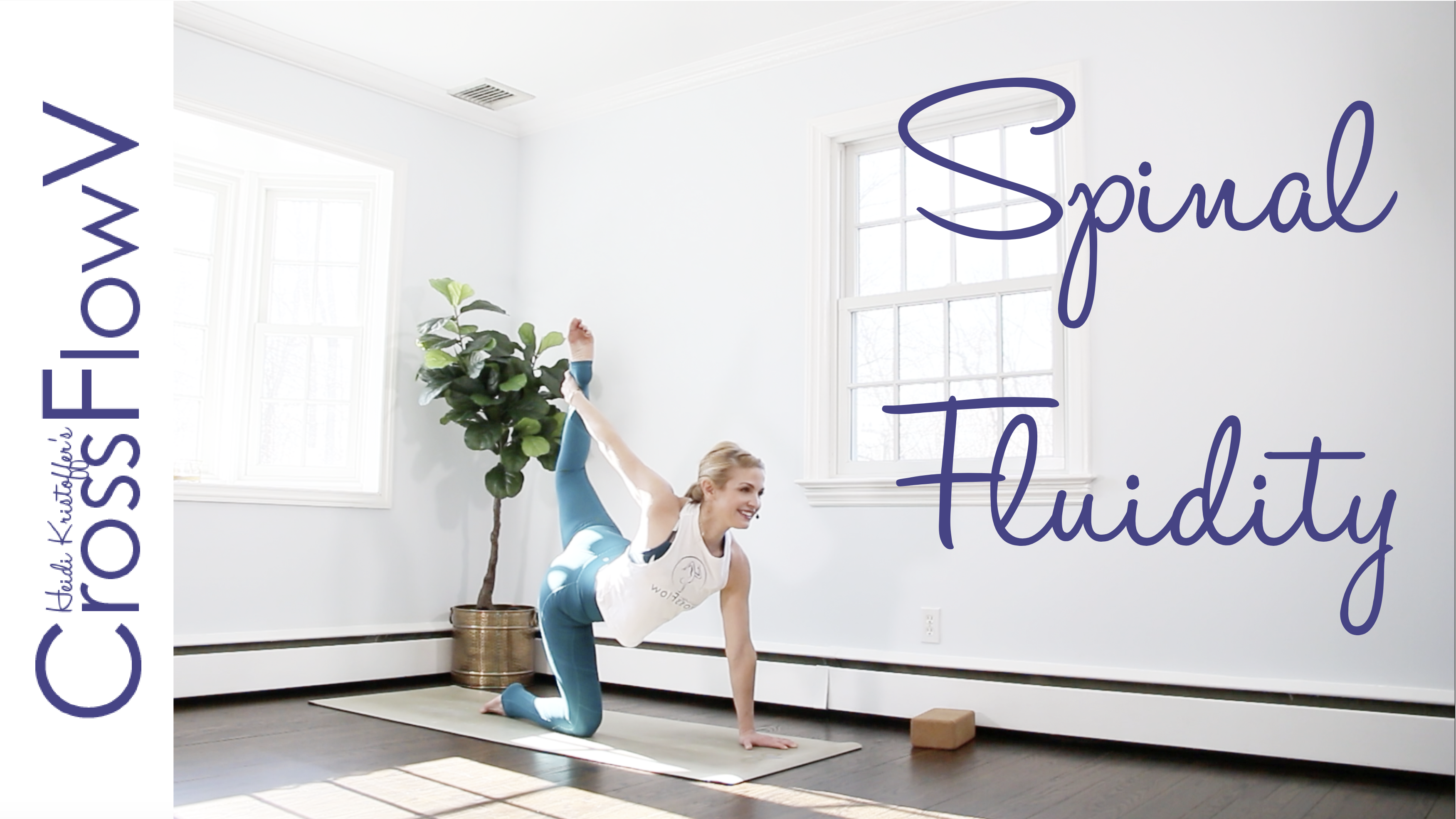 CrossFlowV: Spinal Fluidity