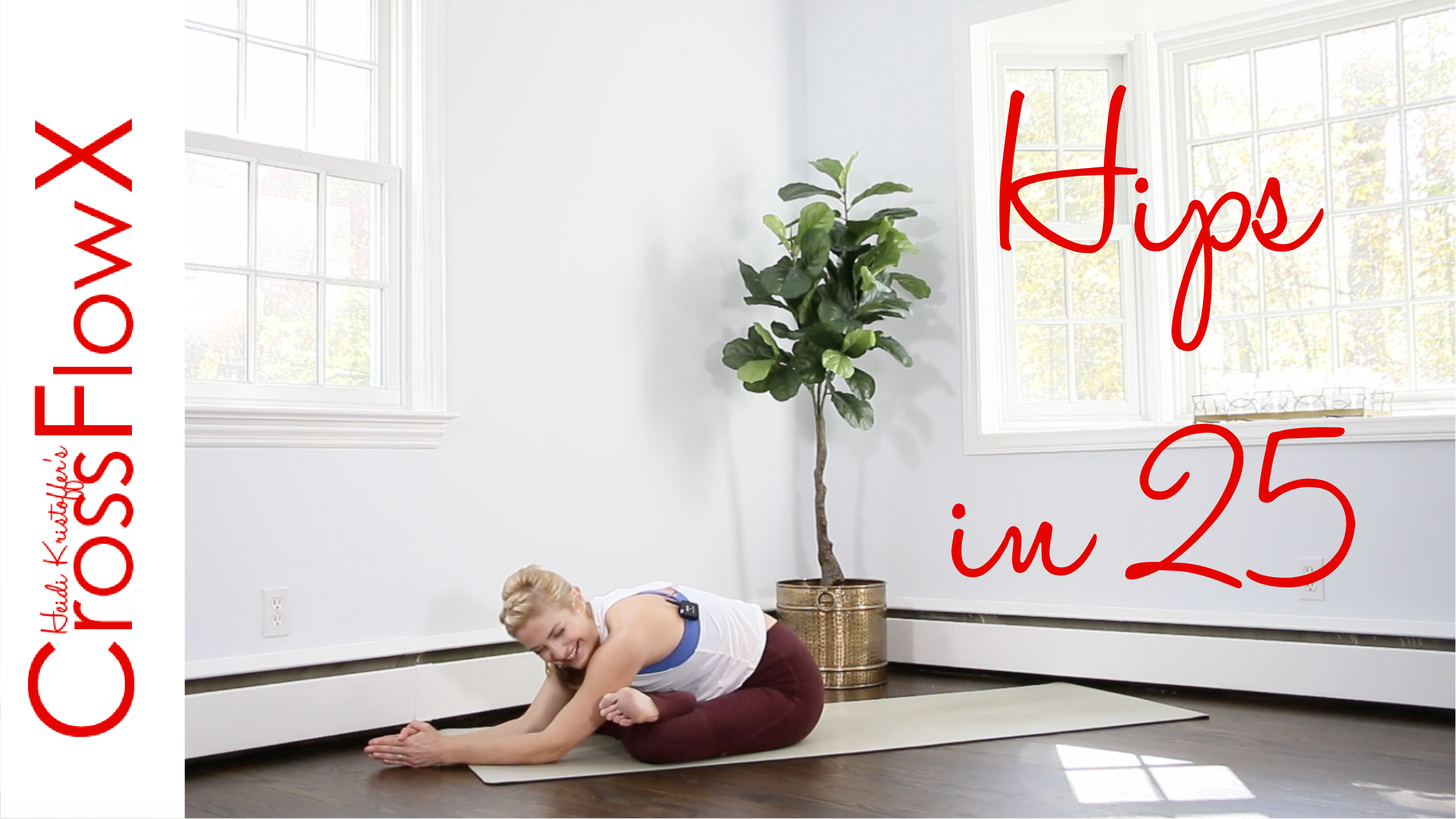 CrossFlowX™: Hips in 25