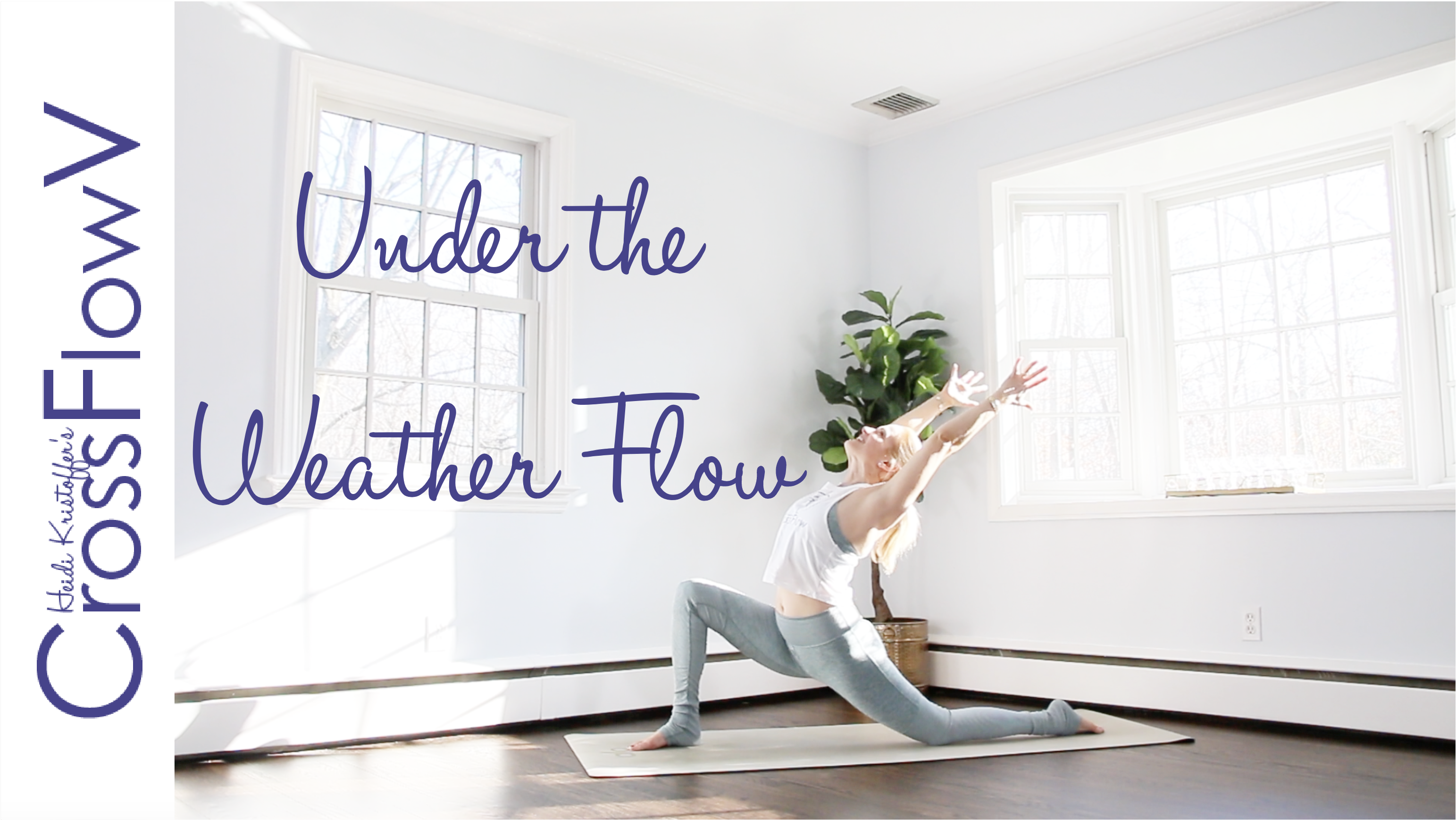 CrossFlowV: Under The Weather Flow