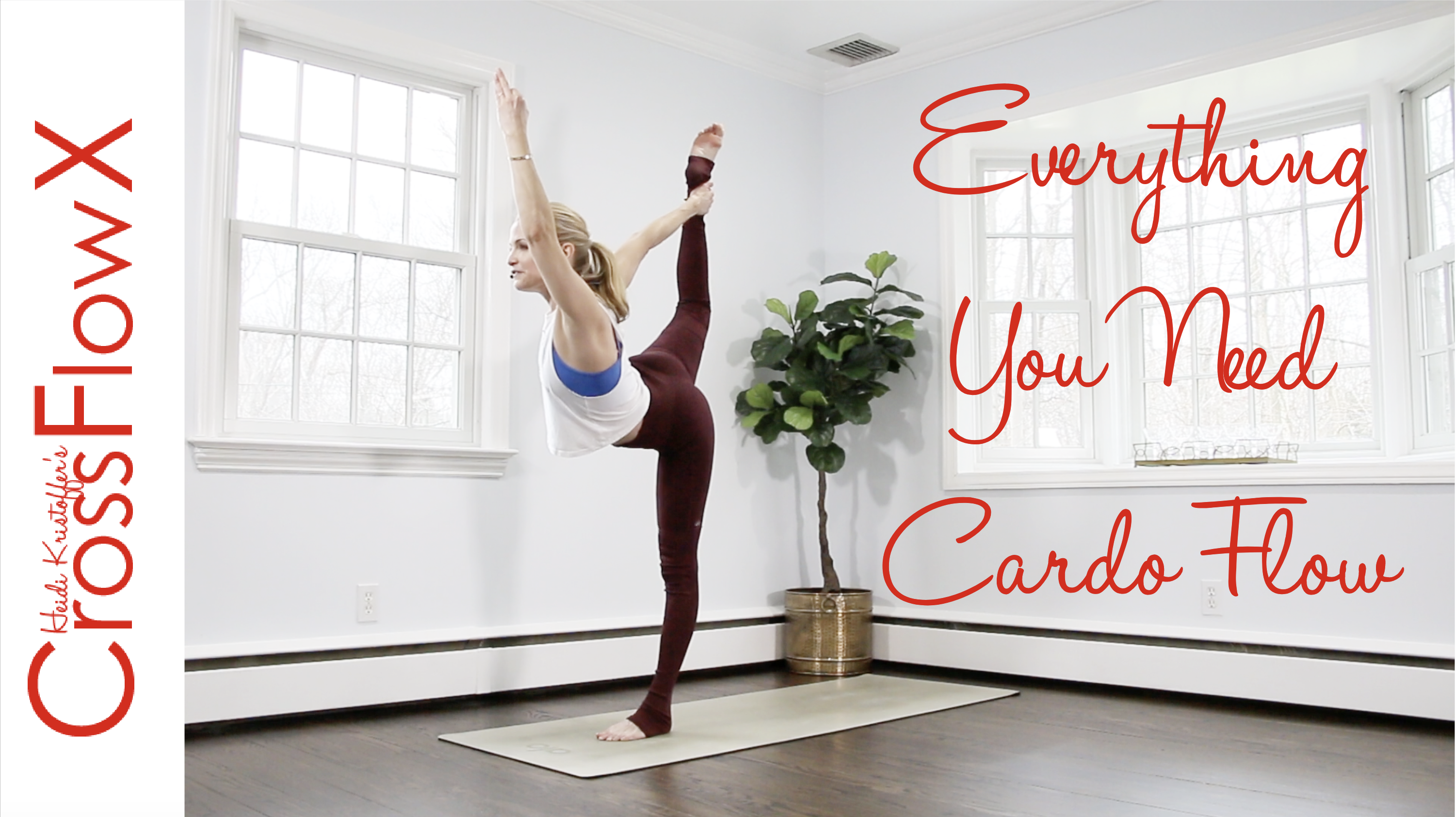 CrossFlowX: Everything You Need Cardio Flow