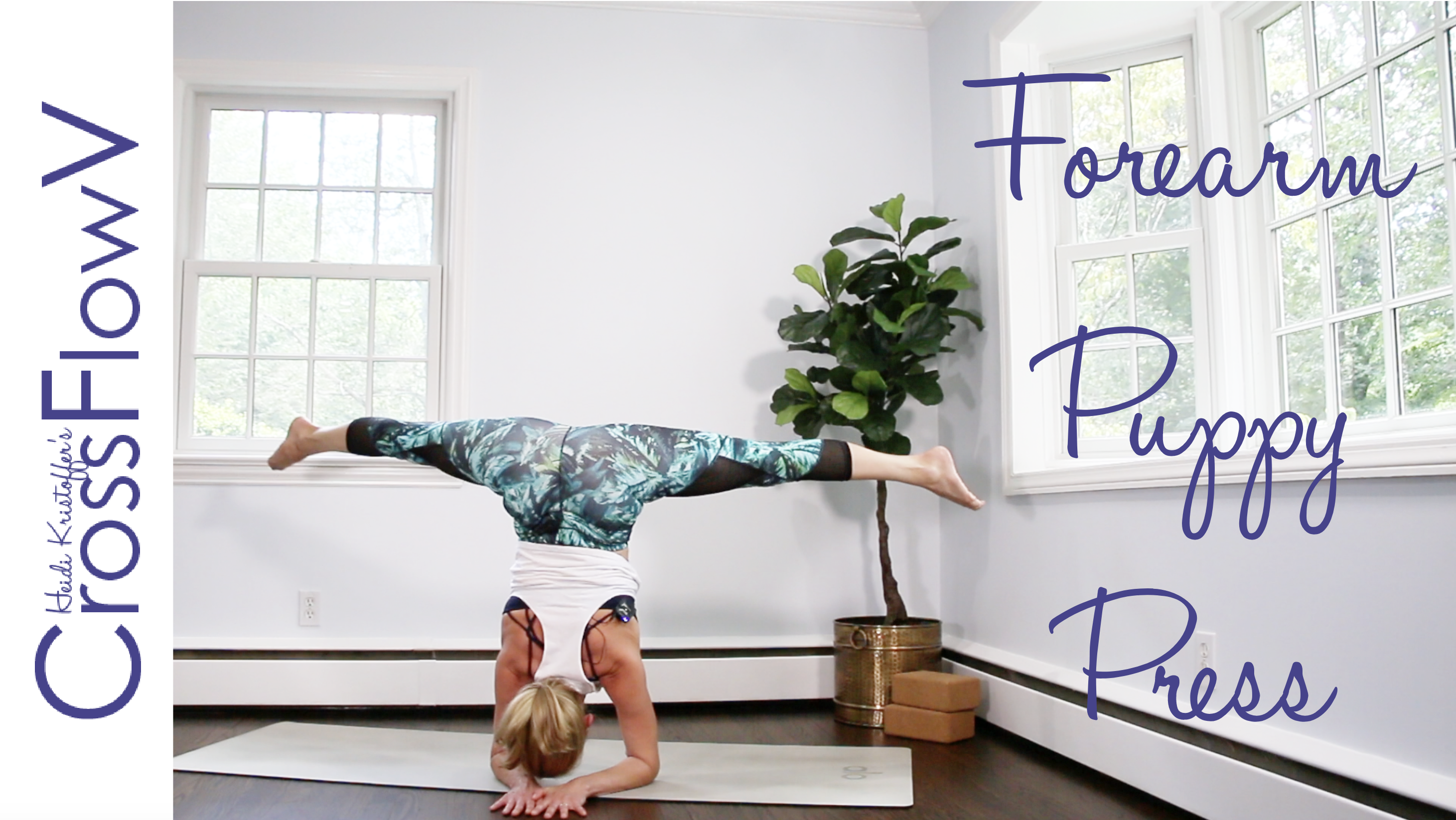 CrossFlowV: Forearm Puppy Press Flow