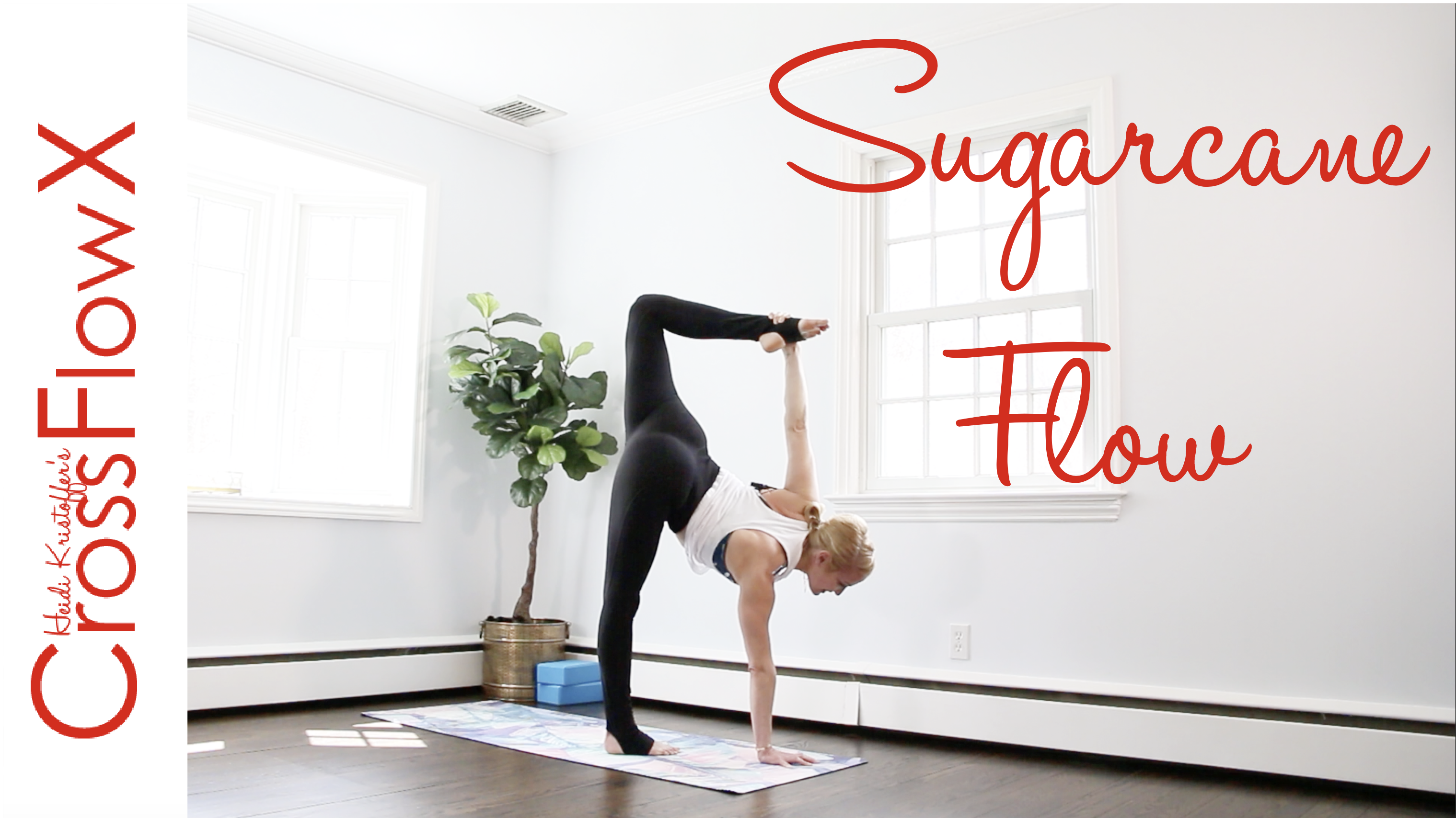 CrossFlowX™: Sugarcane Flow