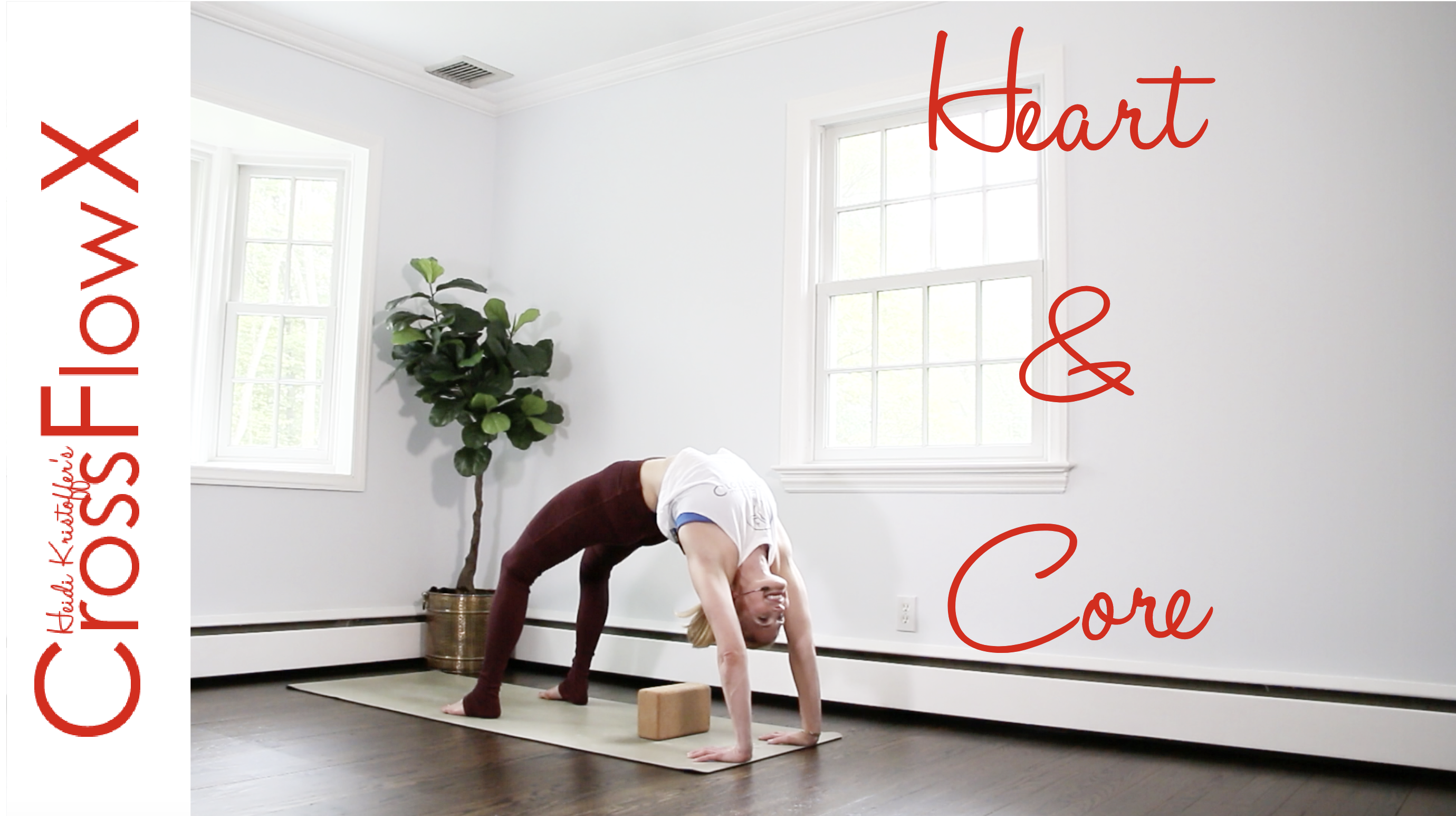 CrossFlowX™: Heart and Core