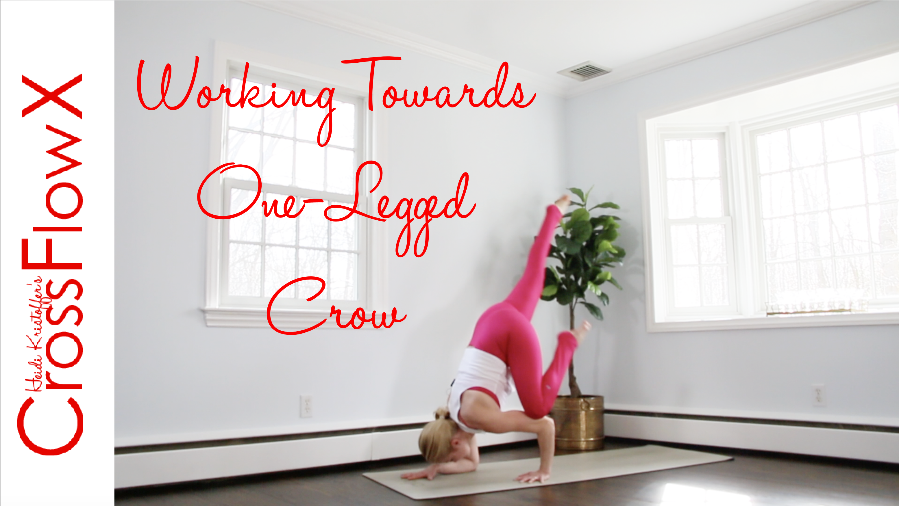 CrossFlowX™: Working Towards One-Legged Crow.